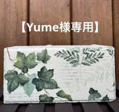 【Yume様専用】アイビー