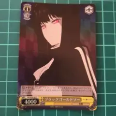 2025年最新】ヴァイス ブラックロックシューターの人気アイテム - メルカリ