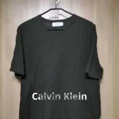 Calvin Klein ストライプ Vネック Tシャツ 3Lサイズ