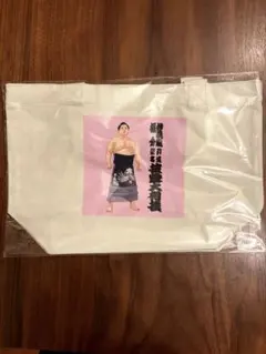 妙義龍引退ミニトート