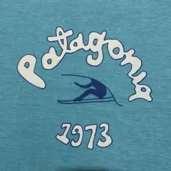 パタゴニア patagonia Tシャツ キャプリーンクールデイリー S