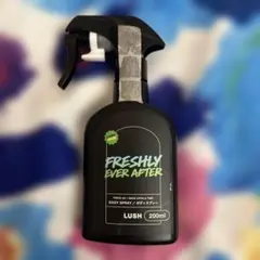 希少NEIGHBORHOOD SRL . SPRAY スプレーボトル 300ml - メルカリ
