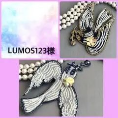 LUMOS123様 リクエスト 2点 まとめ商品