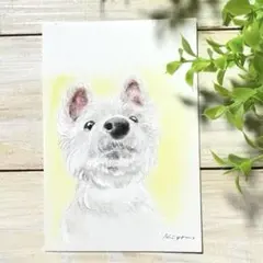ウエストハイランドホワイトテリア【パステル画 原画】