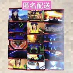 エヴァ エヴァンゲリオン中国限定KAYOUトレカカードSSR、Rシンジ