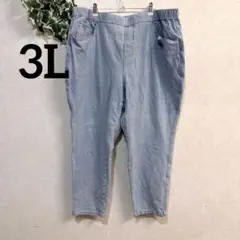 DreamJeannes 【2X】3L～4L相当shortデニムパンツ