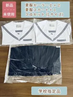 2026年最新】安城高校 制服の人気アイテム - メルカリ