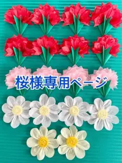 桜様専用ページ