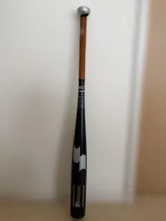 Item thumbnail for item ced752af-28ca-497e-b26c-adea572e9ca0