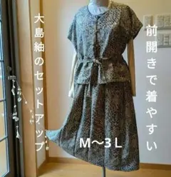 Item thumbnail for item e0c8fb57-df0f-4eda-8de4-154ce779e193