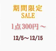 期間限定SALE！！　【 12/5~12/15 】