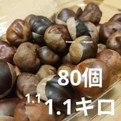 無農薬栃の実20キロ 2025年最新】とちの実の人気アイテム - メルカリ