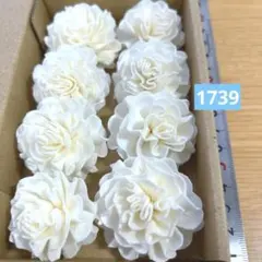 ソラフラワー　1739