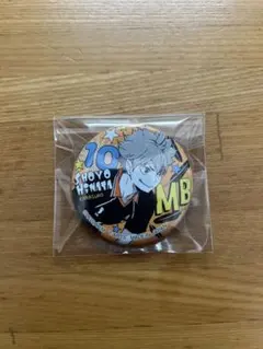 ハイキュー!! ポートレート缶バッジ 日向翔陽　JF2020