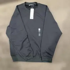 Item thumbnail for item fed91226-c1ea-42de-99eb-e1d5a73ddbad