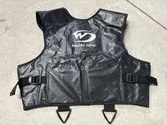 Item thumbnail for item 14c004fa-299d-445d-9d1e-0893c34cf48b