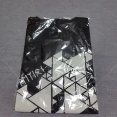 luz　2nd Tour Reflexion　Tシャツ フリーサイズ　新品未開封