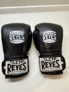 Item thumbnail for item 5cafde69-0874-40dc-b901-8be5ba4c0e94