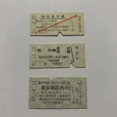 長野電鉄 硬券乗車券 特急券 国鉄 JR 切符 鉄道 레트로 廃品