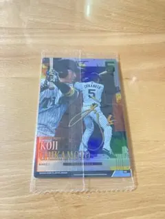 m905様 リクエスト 2点 まとめ商品