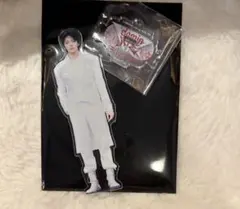 StrayKids スキズ アイエン ランダムアクリルスタンド VR 会場限定