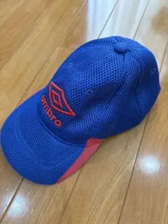 Item thumbnail for item 292c5d0c-c655-4c4f-a431-606aab897bcd