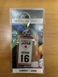 Item thumbnail for item aa1d4b66-4363-4fe2-9ae6-2f3a4ebb1ead