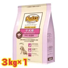 Item thumbnail for item 210237d1-4f17-4afa-a145-d0e4eaca807b