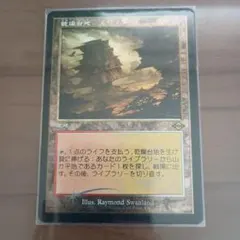 Mtg 溢れかえる岸辺 中国語 - メルカリ