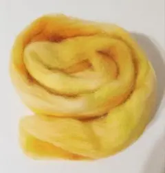 Item thumbnail for item 14c8855e-d4d4-496a-a0fd-c78bc8c7c3c0