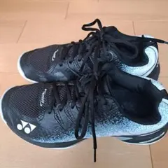 Item thumbnail for item 19d03a98-04cd-40a3-8420-72c8ce068f5a