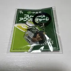 후쿠오카 소프트뱅크 호크스 #23주 히가시유키쿄 선수 아크릴 매력 이토엔