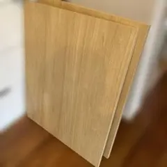 Item thumbnail for item 4691d31b-f0e0-4890-a579-530e2cf9fae0