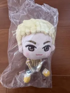 SEVENTEEN PetiTEEN 一番くじ ホシ　ぬいぐるみ