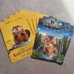 8枚　私がビーバーになる時 映画　フライヤー　チラシ