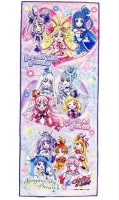 映画プリキュアオールスターズF スポーツタオル 映画プリキュアオールスターズF スポーツタオル Amazon.co.jp