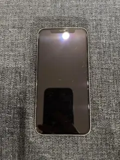 Item thumbnail for item e9a9b81d-a206-4394-b04e-aa2bab414e1c