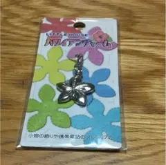 チャーム  プルメリア