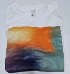 Item thumbnail for item b1d7511c-ff2c-40ab-836c-7c89dd300515