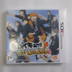 3DSソフト　ハイキュー　繋げ頂の景色　動作確認済み