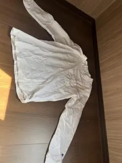 チャンピオンT1011 USA 白ホワイトＬ