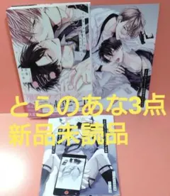 イケないエリートΩは淫らにとろける 天春まいね とらのあな 冊子 リーフレット