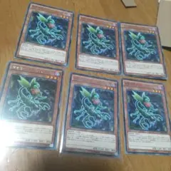 遊戯王 捕食植物オフリススコーピオ トーナメントパック | Mercari