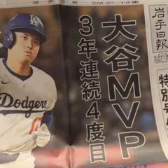 Item thumbnail for item 90924824-1e73-4c04-8987-dbd63e562f52