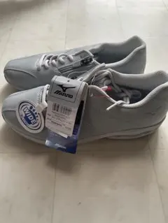 Item thumbnail for item 76f30a6f-ae2b-46bf-b09d-259cdfe6800f