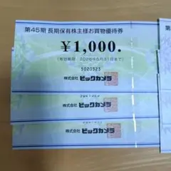 ビックカメラ・コジマ お買物優待券 6000円分