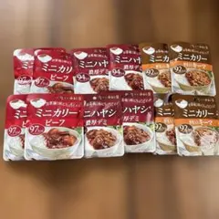 【新宿中村屋】ミニカリー＆ハヤシ 3種12個セットのサムネイル