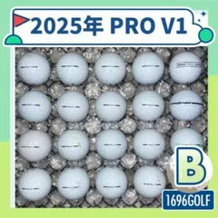 Item thumbnail for item 7b1550ca-fc11-41c9-b53e-5477b90f856f