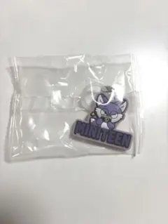 Miniteen ぷっくりめじるしアクセサリー FOXDUNGEE ウォヌ