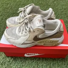 Item thumbnail for item 4962514b-5ad3-4c1e-bf0d-3d906b9c59c6